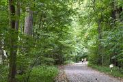 Photo: JOHN JAMES AUDUBON STATE PARK