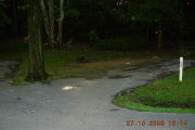 Photo: 053, Sites 1-12, 50-63