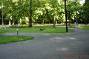Photo: 054, Sites 1-12, 50-63