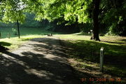 Photo: P003, Primitive 1-17