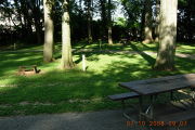 Photo: P012, Primitive 1-17
