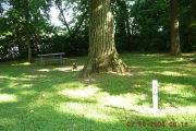 Photo: P014, Primitive 1-17