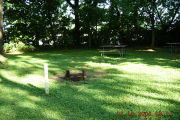 Photo: P015, Primitive 1-17