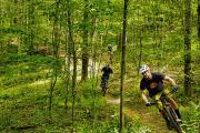 Photo: GREEN RIVER LAKE STATE PARK
