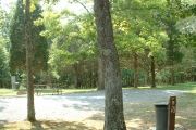 Photo: 010, SITES 1-20,73-76
