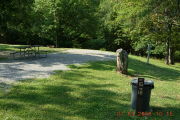 Photo: 016, SITES 1-20,73-76