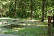 Photo: T16, CEDAR 1