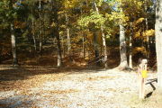 Photo: T32, CEDAR 1