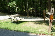 Photo: T36, CEDAR 1