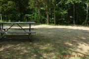 Photo: T62, CEDAR 2
