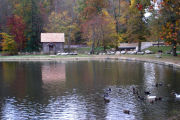 Photo: LEVI JACKSON STATE PARK