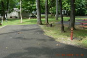 Photo: 009, Sites 1-39