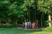 Photo: TAYLORSVILLE LAKE STATE PARK
