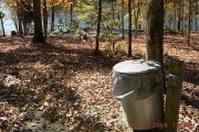 Photo: B11, Lakeside
