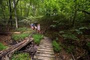 Photo: BARREN RIVER LAKE STATE RESORT PARK