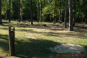 Photo: 097, Bunkhouses and Primitive Area