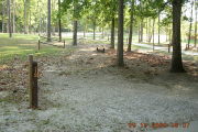 Photo: 113, Bunkhouses and Primitive Area