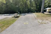 Photo: 046, Sites 45-83