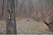 Photo: P015, Primitive Sites 1-36