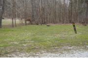 Photo: P031, Primitive Sites 1-36