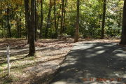 Photo: 061, Sites 53-78