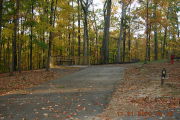 Photo: 008, Site 1-79