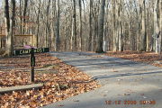 Photo: 010, Site 1-79