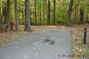 Photo: 015, Site 1-79