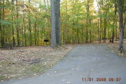 Photo: 018, Site 1-79