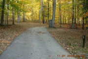 Photo: 029, Site 1-79