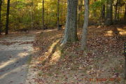 Photo: 034, Site 1-79