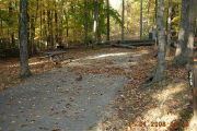Photo: 036, Site 1-79