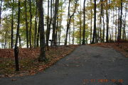 Photo: 037, Site 1-79
