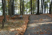 Photo: 038, Site 1-79