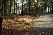 Photo: 040, Site 1-79