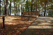 Photo: 041, Site 1-79