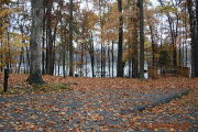 Photo: 043, Site 1-79