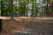 Photo: 045, Site 1-79