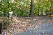 Photo: 047, Site 1-79