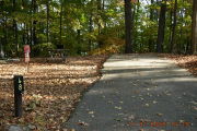 Photo: 048, Site 1-79