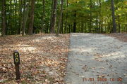 Photo: 050, Site 1-79