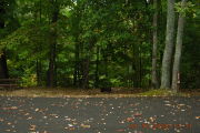 Photo: 011, Sites 10-30, 109-123