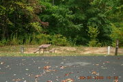 Photo: 012, Sites 10-30, 109-123
