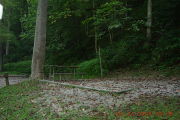 Photo: C007, PRIMITIVE