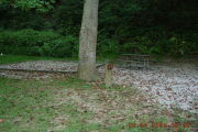 Photo: C008, PRIMITIVE
