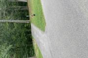 Photo: 005, Sites 1-16, 47-68