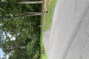 Photo: 008, Sites 1-16, 47-68