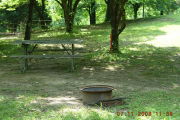 Photo: P20, Primitive East