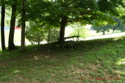 Photo: P21, Primitive East