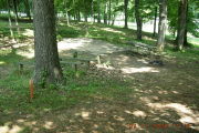 Photo: P23, Primitive East